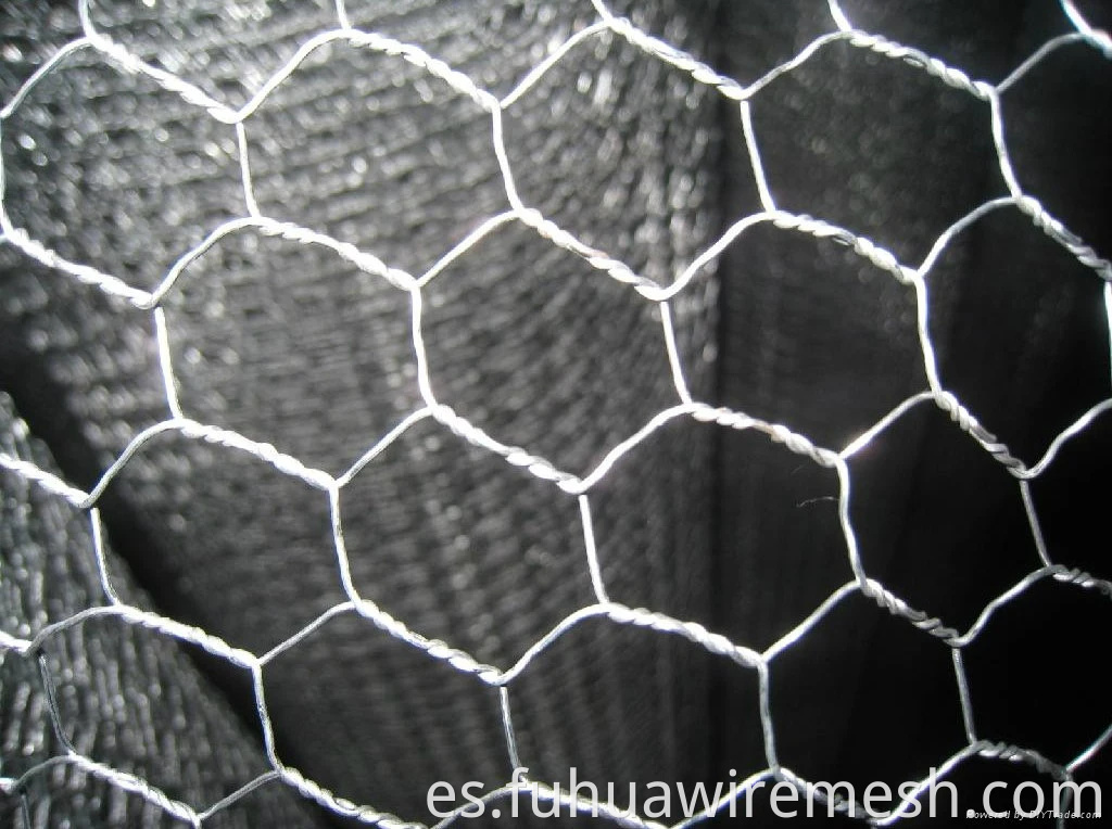 HEXAGONAL WIRE MESH